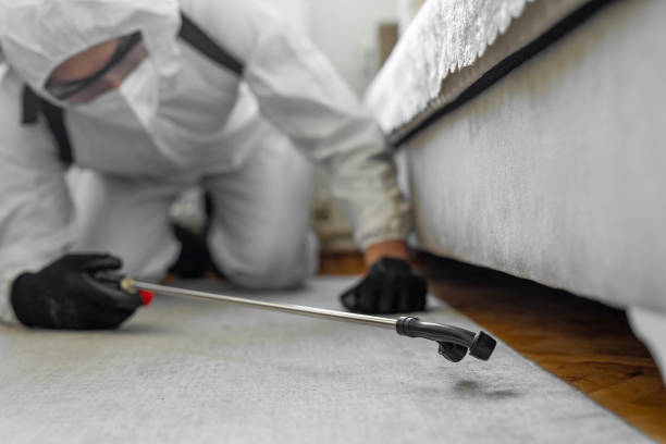 Professional Termite Control technician working in Eagle Grove, IA