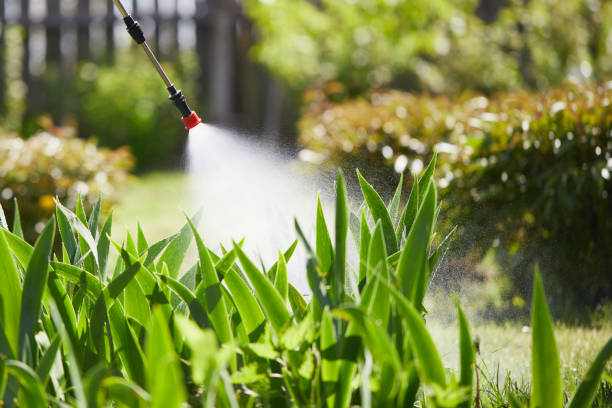 24/7 Emergency Termite Control experts in Eagle Grove, IA
